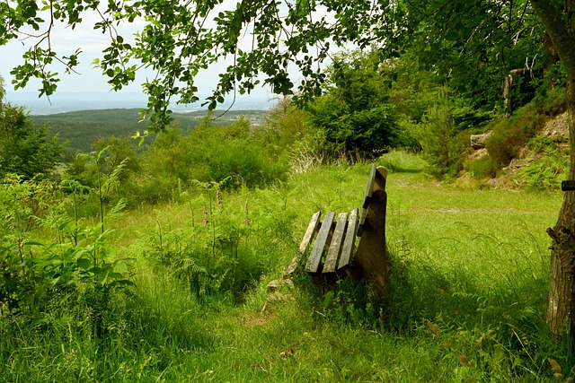 播收入的飙 播收入的飙