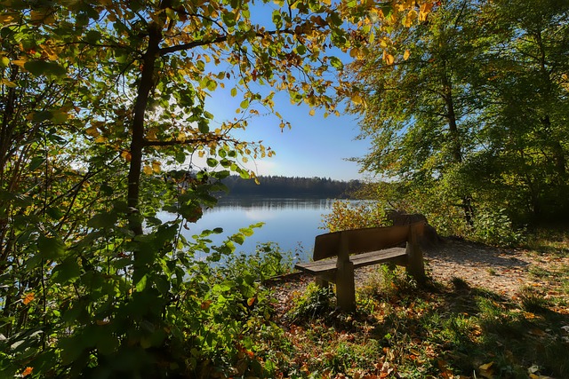 奧爾特加的 奧爾特加的