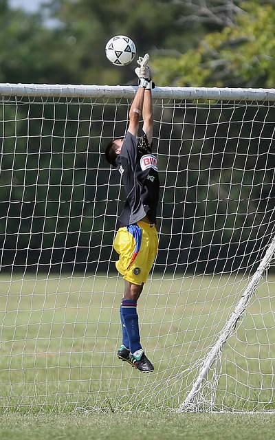 这不仅影响 这不仅影响