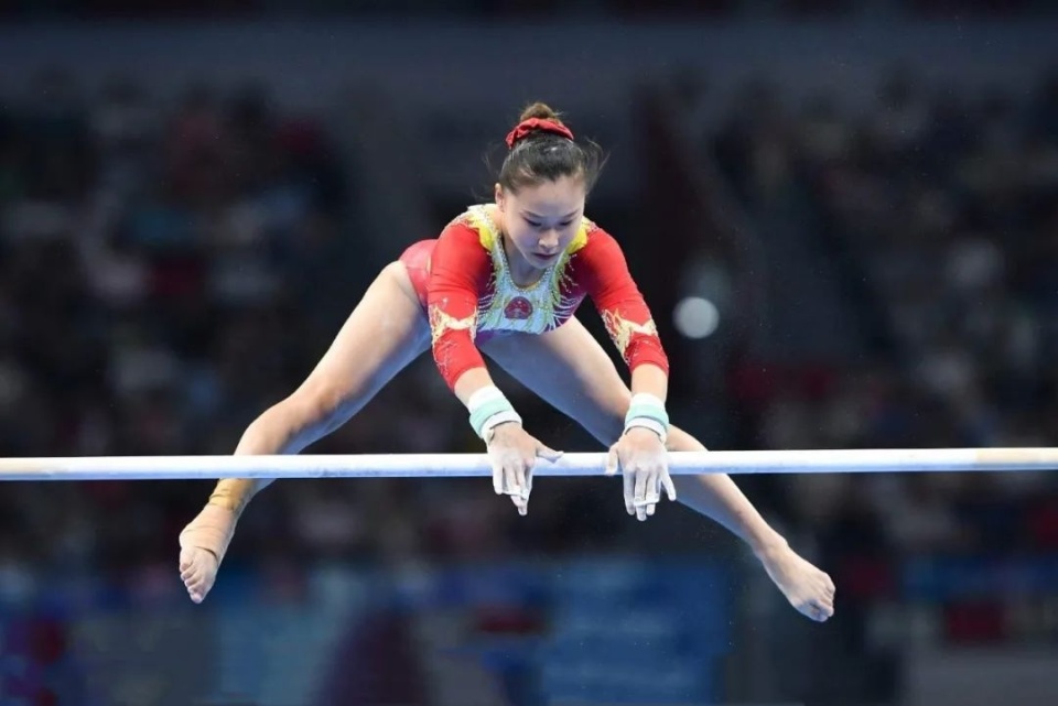 球队的总体 球队的总体