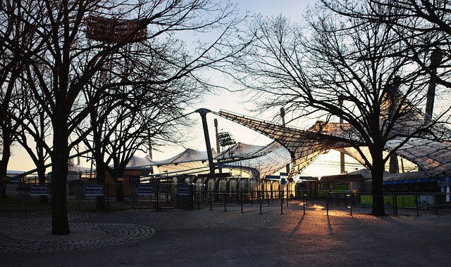 了其他球员 了其他球员