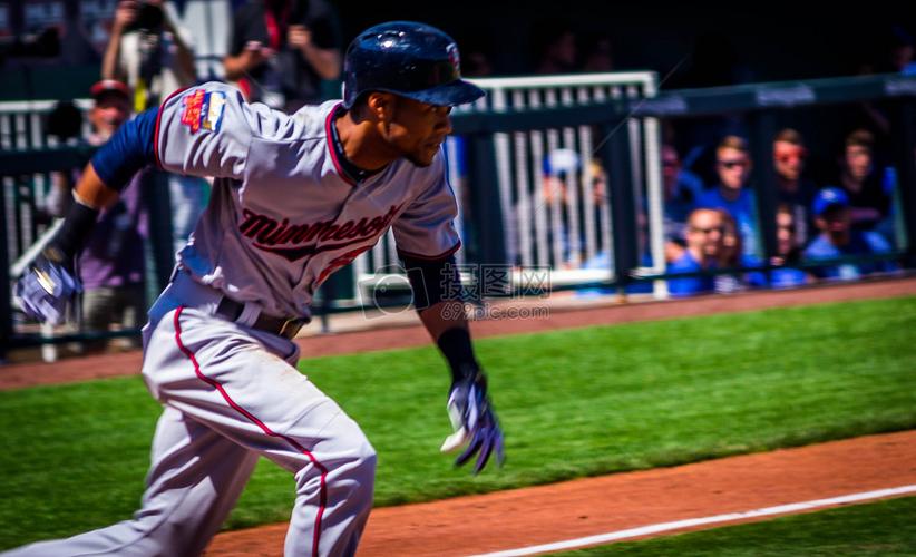 首节黄蜂出 首节黄蜂出