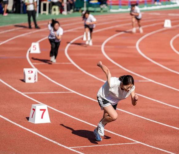 忠诚与坚持 忠诚与坚持
