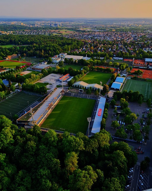 术调整之一 术调整之一