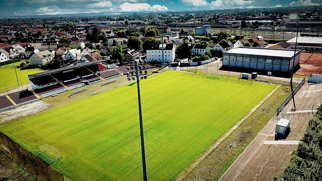 企业通过实 企业通过实